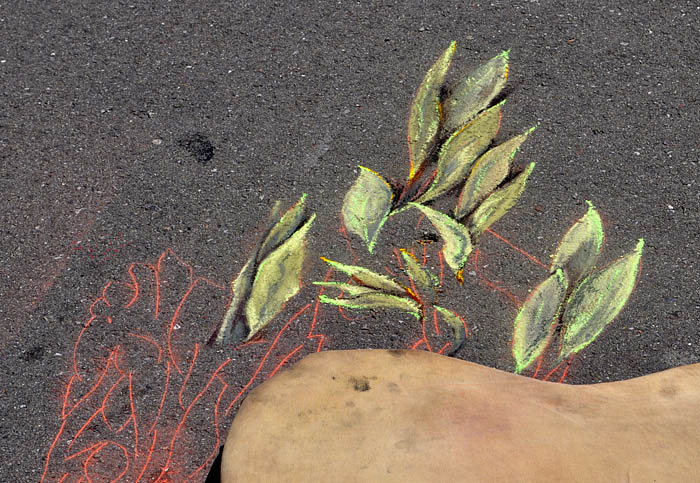 leaves