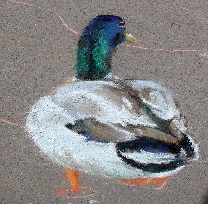 Close up view of the painted duck