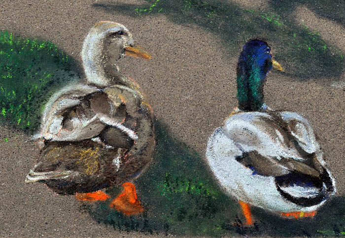 Two painted ducks